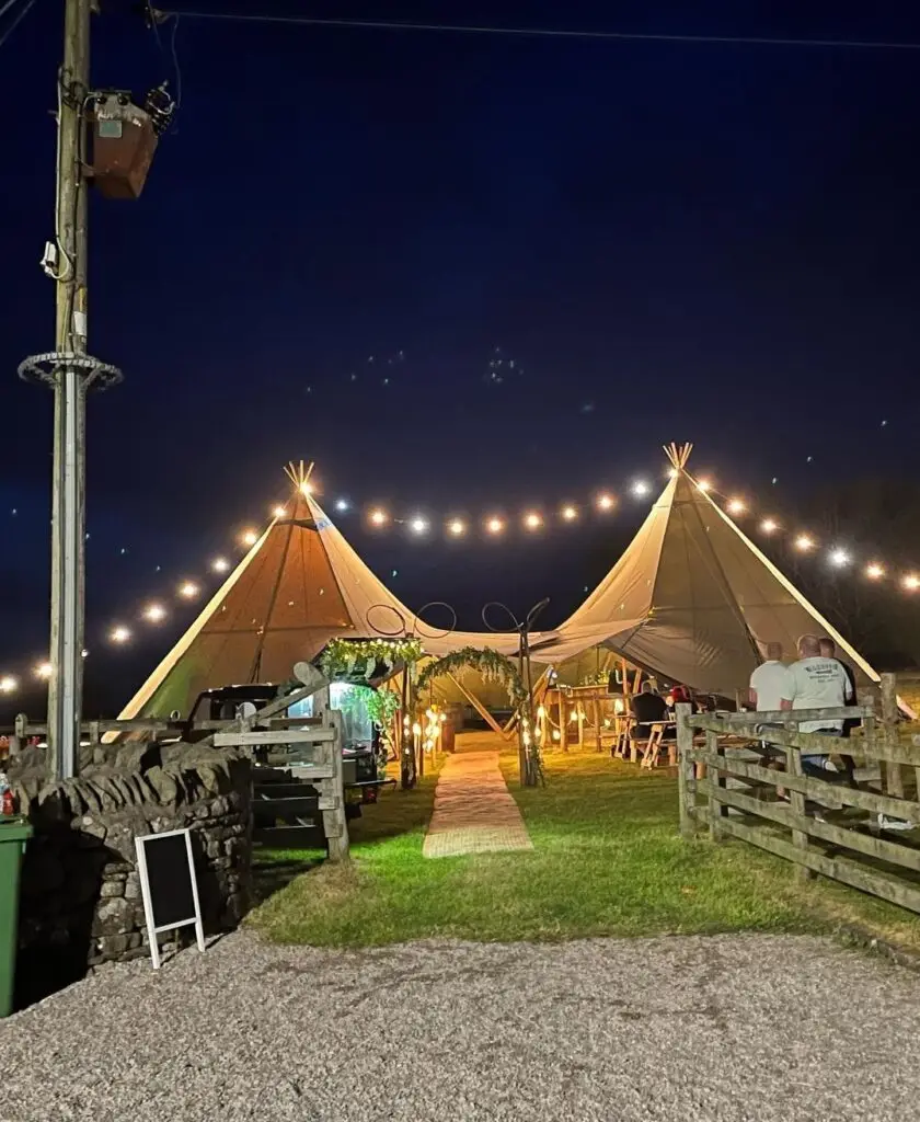 Flying festoons
